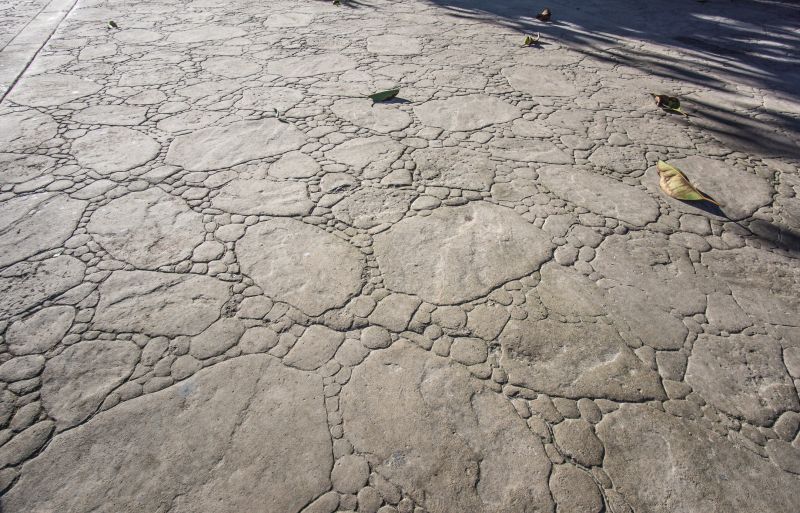 Decorative Concrete Repair in Olathe, KS