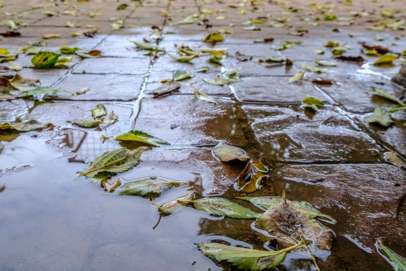 Decorative Concrete Repair in Santa Rosa, CA